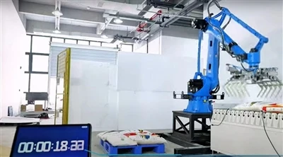 Duglegur og nákvæmur! CRP 4-axis Palletizing Robot CRP-RP32-180